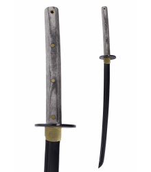 Tactana Sword, Condor