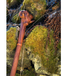 Holzstab mit Widderkopf, ca. 130 cm