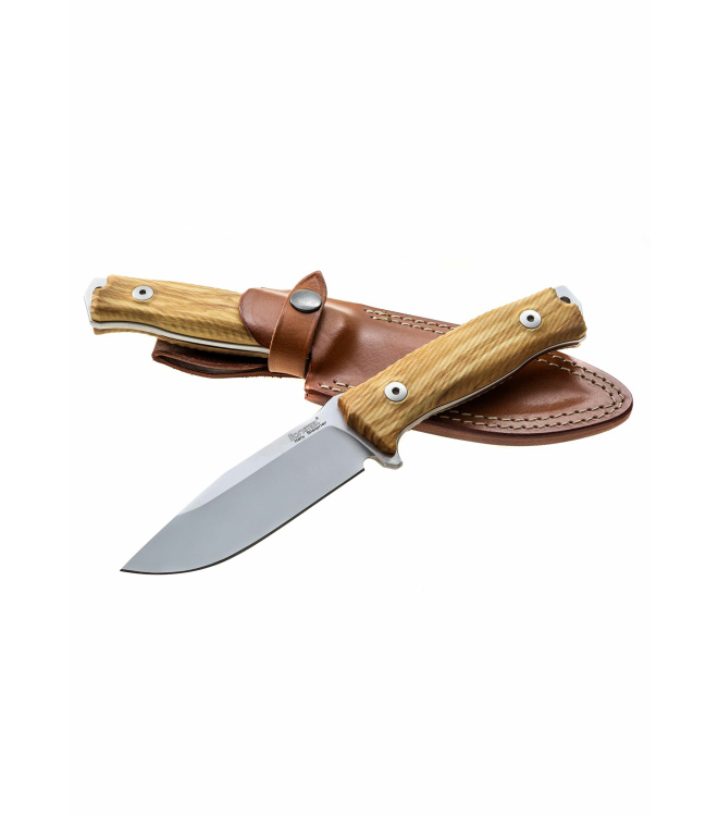 Feststehendes Messer M5 Olive, Lionsteel