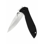 Taschenmesser Kershaw Emerson CQC-4KXL D2