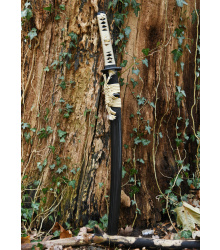 Kogane No Senshi Honsanmai Wakizashi, BattleBlades