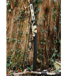 Kogane No Senshi Honsanmai Wakizashi, BattleBlades