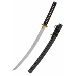 John Lee Dragon Tokuni Wakizashi