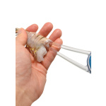 Cuda Garnelenschäler