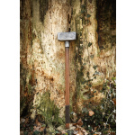 LARP Hammer Wendelin, Polsterwaffe, verschiedene Längen