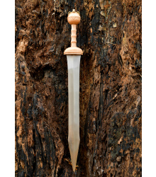 Gladius von Dubravica, Römisches Schwert mit...