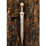 Gladius von Dubravica, Römisches Schwert mit Scheide, 1. Jahrhundert