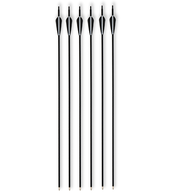 Carbon-Hybrid-Pfeile Set, 6 tlg. Metallspitze
