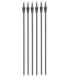 Carbon-Hybrid-Pfeile Set, 6 tlg. Metallspitze