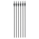 Carbon-Hybrid-Pfeile Set, 6 tlg. Metallspitze