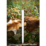 LARP Schwert Eadric, Polsterwaffe, 105 cm