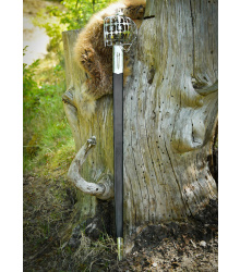 Eglinton Pinch of Snuff Breitschwert der Schottischen Highland-Offiziere