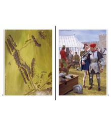 Condottiere 1300 - 1500: Infamous medieval mercenaries, WAR115