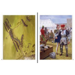 Condottiere 1300 - 1500: Infamous medieval mercenaries, WAR115