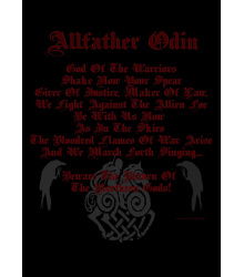 Longsleeve-Shirt: Beware the return of... Odin