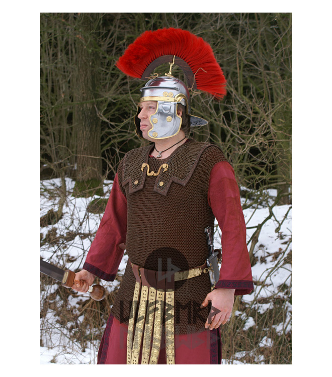 BTW Lorica Hamata, ID 8mm, unbehandelt