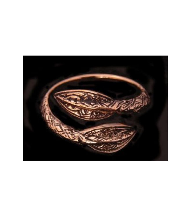 Bronzener Wikingerring, Speerspitzen